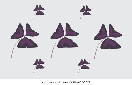 oxalis flower vector suitable for wall decoration or wallpaper. Oxalis triangularis or butterfly flower often referred to as purple shamrocks