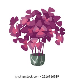 Oxalis in flowerpot for home or office flat vector illustration. Indoor houseplant, flower with pink leaves in pot isolated on white background. Nature, urban jungle concept