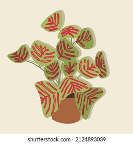 Oxalis green with pink patches, indoor plant. All elements are isolated. Flat design, cartoon, vector illustration. Template for printing on paper, fabric.