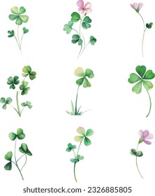 Oxalis microphylla.Set von wasserfarbigen Kleeblättern einzeln auf weißem Hintergrund. Vektorgrafik.