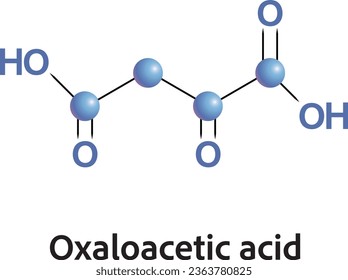 Ácido oxaloacético del ciclo ácido cítrico vía metabólica molécula atómica