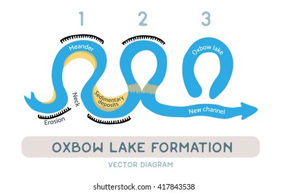 Oxbow Lake Formation, Vector Diagram