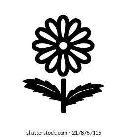 Oxeye daisy, marguerite, spring blooming perennial flower and plant with petals, graphic, vector, illustration in black and white color, isolated on white background