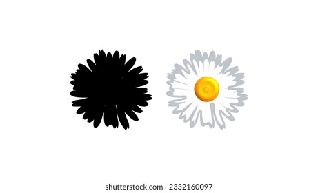 oxeye daisy silhouette, high quality vector