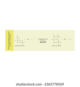Oxidation of glyceraldehyde-3-phosphate to glycerate-1,3-bisphosphate via glyceraldehyde3-phosphate dehydrogenase, molecular skeletal formula diagram on on yellow background.
