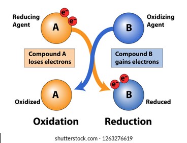 Difference Between Hydrogenation And Reduction Definition Mechanism Examples Relationship And Differences