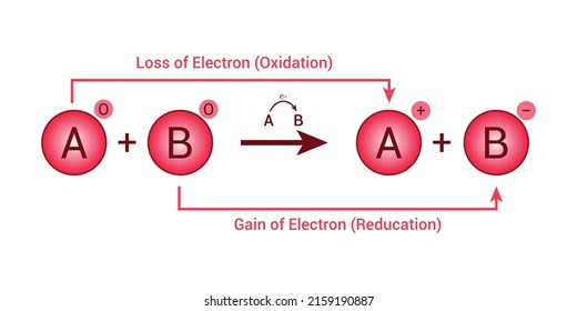 Oxidation reduction redox reaction. Vector illustration isolated on white background.