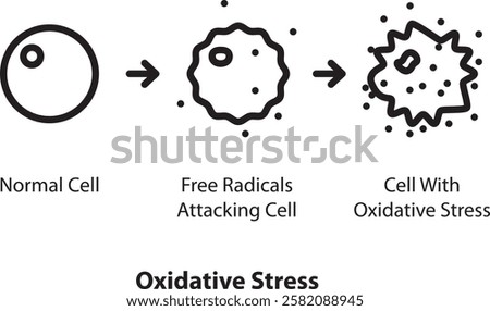 Oxidative Stress icon , vector illustration