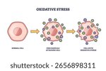 Oxidative stress shows a normal cell, free radicals attacking, and resulting cell damage. Key objects, cell, free radicals, arrows. Outline diagram