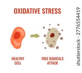 Oxidative stress vector illustration of healthy cell and radical damage. Medical artwork for inflammation, antioxidant depletion and biology visuals.