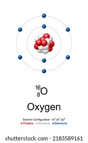 Oxygen, atom model. Chemical element with symbol O and with atomic number 8. Bohr model of oxygen-16, with an atomic nucleus of 8 protons and 8 neutrons, and with 8 electrons in the atomic shell.