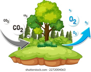 Oxygen Cycle Diagram for Science Education illustration