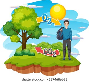 Oxygen Cycle Diagram for Science Education illustration