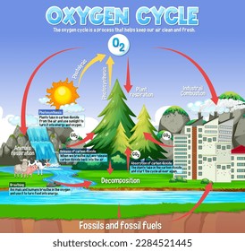 Oxygen Cycle Diagram for Science Education illustration