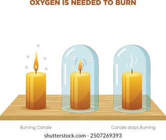 Oxygen is essential for combustion, serving as the key element that reacts with fuel to release energy in the form of heat and light, enabling things to burn.