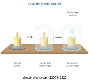 Oxygen needed for fire and burning. vector diagram to demonstrate the experiment oxygen is needed for burning. Candle and Fire science experiment diagram. Oxygen and fire experiment.