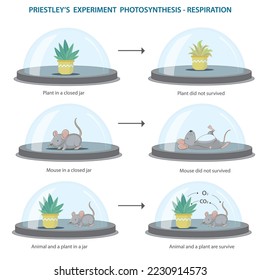 Oxygen needed for the survival of living things.  importance of the oxygen for living thing. Every living things need oxygen to live vector illustration. Priestley experiment with plant and  mouse.