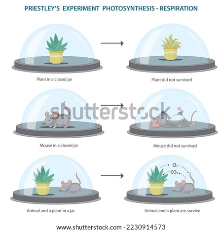 Oxygen needed for the survival of living things.  importance of the oxygen for living thing. Every living things need oxygen to live vector illustration. Priestley experiment with plant and  mouse.
