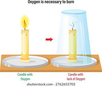 Oxygen needs to burn fire