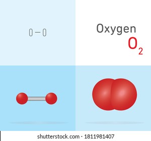Oxygen (O2) gas molecule. Two different molecule model and chemical formula. Ball, stick and Space filling model. Structural Chemical Formula and Molecule Model. Chemistry Education