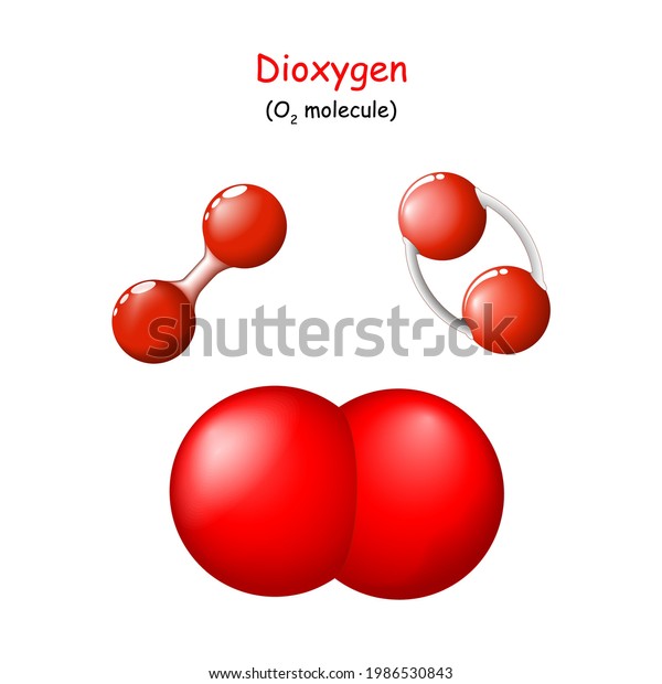 Oxygen Structural Chemical Formula Dioxygen O2 Stock Vector Royalty Free 1986530843 3415