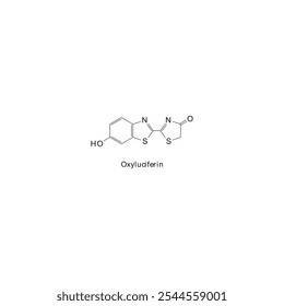 Diagrama de estrutura esquelética de oxiluciferina.Molécula orgânica composta ilustração científica.