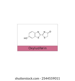 Diagrama de estrutura esquelética de oxiluciferina.Molécula orgânica composta ilustração científica.