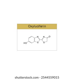 Diagrama de estrutura esquelética de oxiluciferina.Molécula orgânica composta ilustração científica.