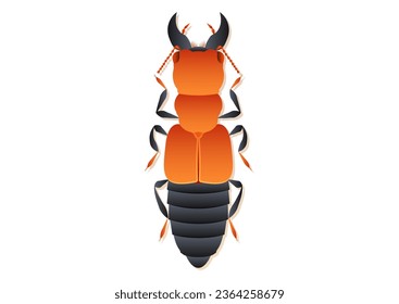 Oxyporus Rufus Beetle Vector Art Isolated on White Background