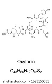 Oxytocin molecule, skeletal formula. C43H66N12O12S2, a peptide hormone, neuropeptide and neurotransmitter. It plays a role in social bonding, reproduction and childbirth. Illustration. Vector.