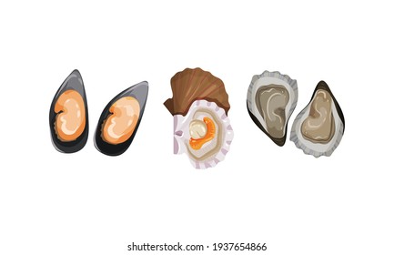 Austernmuscheln und bivalved Mollusk als Meeresfrüchte und Meeresdelikatessen, Vektorset