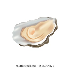 Ostra, cocina de mariscos de dibujos animados o comida de mar delicatessen molusco 3D ilustración realista. Concha de ostra abierta para gourmet. Mejillón aislado sobre fondo blanco. Comida de mar. Vector de mejillón u ostra