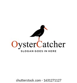 oyster catcher bird logo design vector image illustration