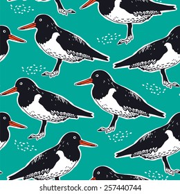 Oyster catcher seamless vector pattern, hand drawn birds background