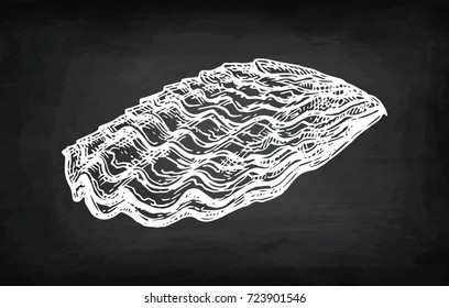 Oyster chalk sketch on blackboard background. Hand drawn vector illustration. Retro style.