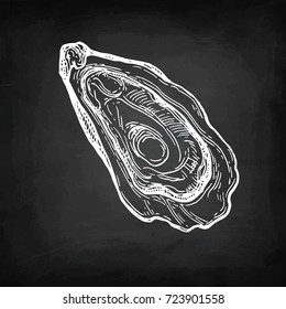 Oyster chalk sketch on blackboard background. Hand drawn vector illustration. Retro style.