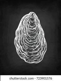 Oyster chalk sketch on blackboard background. Hand drawn vector illustration. Retro style.