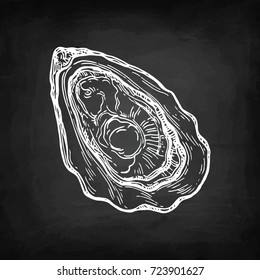 Oyster chalk sketch on blackboard background. Hand drawn vector illustration. Retro style.