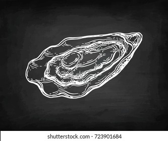 Oyster chalk sketch on blackboard background. Hand drawn vector illustration. Retro style.