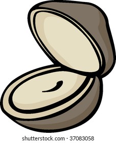 Austernmuschel