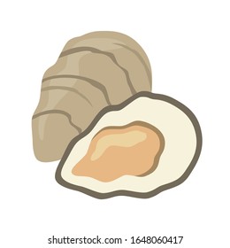 Oyster design on white background ,vector illustration