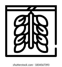 oyster farming line icon vector. oyster farming sign. isolated contour symbol black illustration