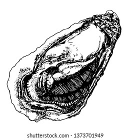 Oyster in graphic style, black outline isolated on white background, stock vector illustration, for design and decoration, print, sticker, menu, nautical theme