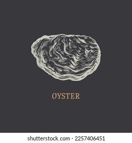 Oyster hand drawing. Oyster vector illustration in engraving style