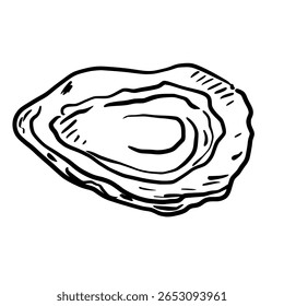 Oyster Hand drawn line art sketch doodle fisherman aesthetic coastal nautical illustration 