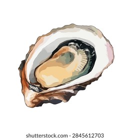 Oyster inside a shell closeup