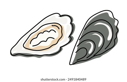 Oyster isolated on transparent background. Trendy healthy food. Print, banner, label, poster, sticker Vector illustration