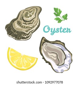 Oyster Isolated On White Background. Vector Illustration Of Raw Clam In Shell In Simple Flat Style. Seafood Menu.