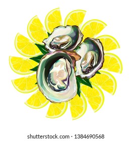 Oyster isolated on white background. Vector illustration of raw clam. Seafood menu