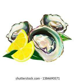 Oyster isolated on white background. Vector illustration of raw clam. Seafood menu